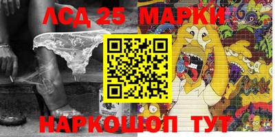 мдпв Донецк
