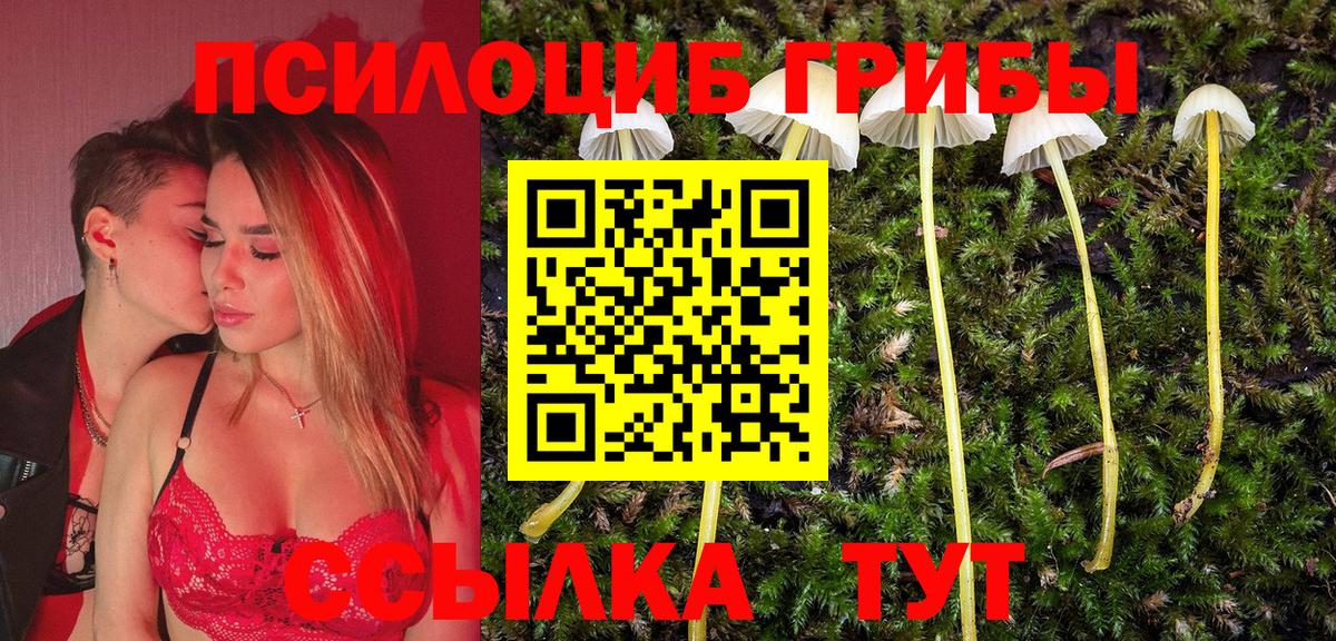 купить   Вход с VPN  Заринск  Псилоцибиновые грибы прущие грибы 