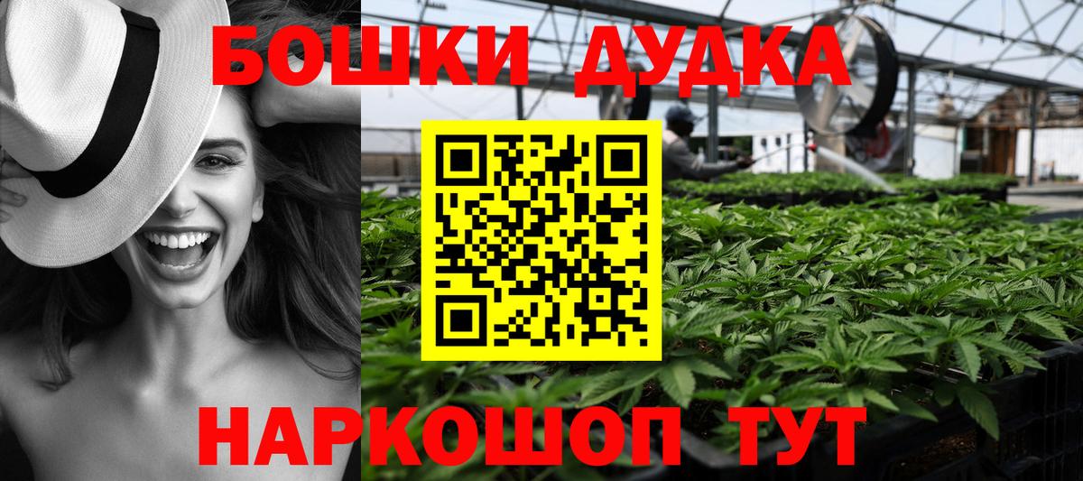 Конопля план Заринск